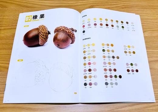 (仓发) 超精致的彩铅基础手绘技法/电子工业出版社/周思娇/9787121420146 商品图3