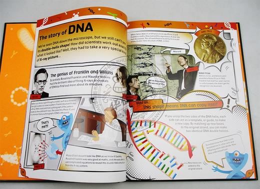 DK DNA书 英文原版 The DNA Book 全英文版 儿童英语课外阅读书籍 进口原版少儿科普百科读物 商品图2