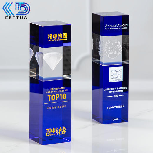 创意蓝色水晶奖杯定制定做冠军3D钻石内雕优秀员工比赛奖杯定制 商品图0