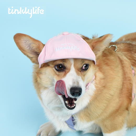 Tinklylife RAINBOW彩虹系列 宠物棒球帽 商品图6