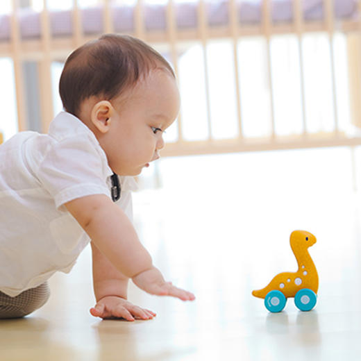 PT恐龙小车组 商品图10