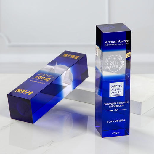 创意蓝色水晶奖杯定制定做冠军3D钻石内雕优秀员工比赛奖杯定制 商品图1