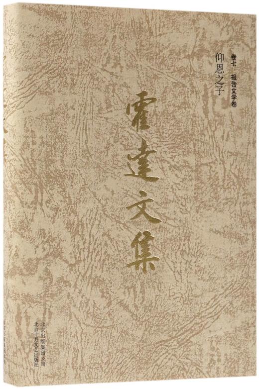 霍达文集(卷7报告文学卷仰恩之子)(精) 商品图0