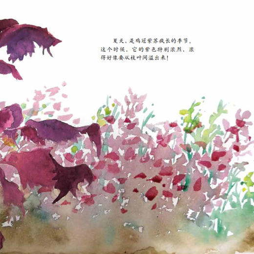 《中国故事·植物篇》（全10册） 商品图5