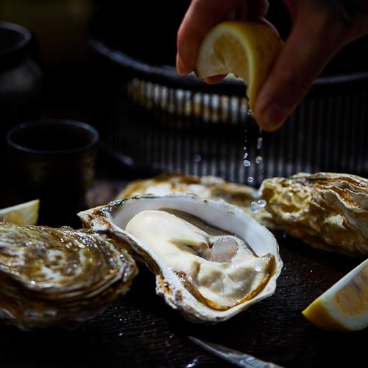 山东乳山生蚝 商品图5