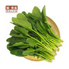 菠菜500g/份【GYZH】 商品缩略图0