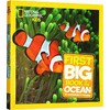 美国国家地理少儿百科英文原版National Geographic Little Kids First Big Book of the Ocean海洋动物系列正版进口英语儿童科普 商品缩略图1