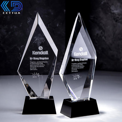 水晶奖杯定制定做创意刻字毕业公司优秀员工冠军比赛奖杯奖牌制作 商品图0