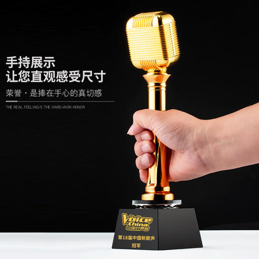 金话筒奖杯定制音乐奖杯麦克风唱歌演讲比赛主持人好声音金属定做 商品图1