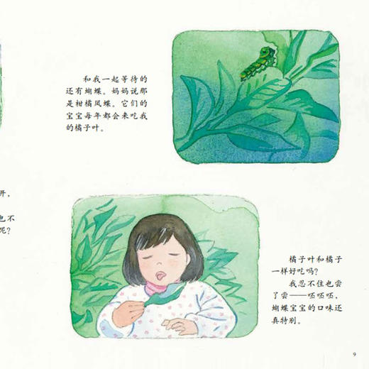 《中国故事·植物篇》（全10册） 商品图11