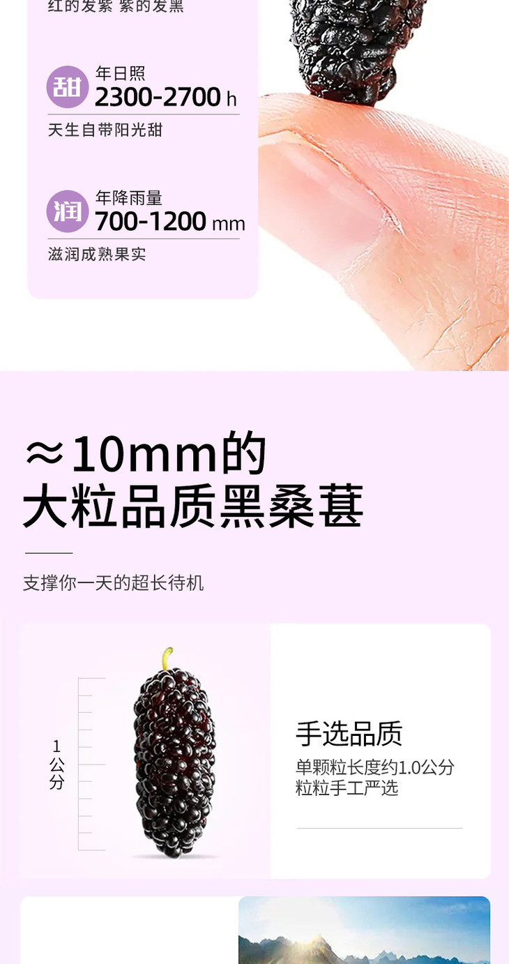 桑葚干200g详情页_003