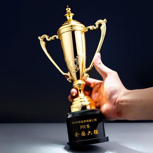 冠军奖杯定做创意镀金金属奖杯定做制作刻字跆拳道武术体育比赛奖 商品图3