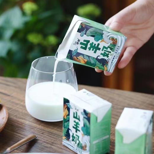 安牧山羊奶 两箱（200ml/盒×10/箱) 商品图2