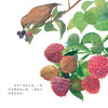 《中国故事·植物篇》（全10册） 商品缩略图3