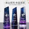 创意水晶奖杯定制定做奖牌刻字团队比赛冠军优秀员工颁奖纪念品 商品缩略图1