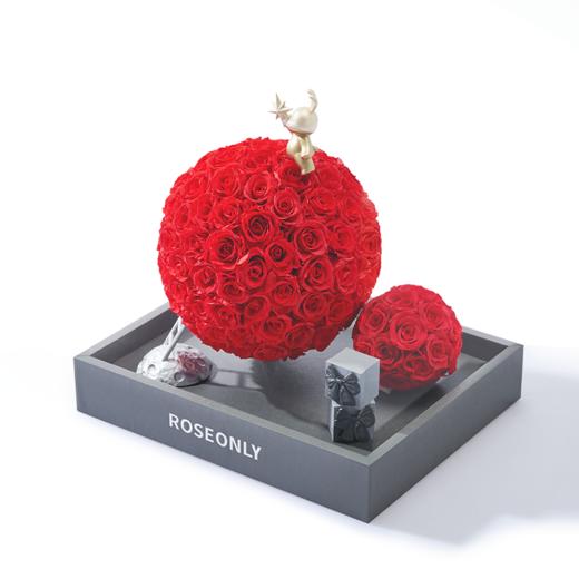 【告白神器】ROSEONLY诺誓 高端定制-甜心兔的玫瑰星球-红色 商品图2