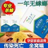 日本小强一锅端家用捕捉神器灭蟑螂屋有效灭蟑螂蟑螂药 商品缩略图4