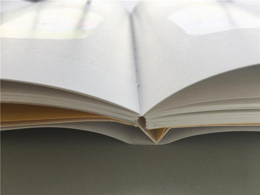 (仓发) 生活可以画出来！从零开始学水彩/华中科技大学出版社/（日）堀川理万子/9787568064934 商品图7