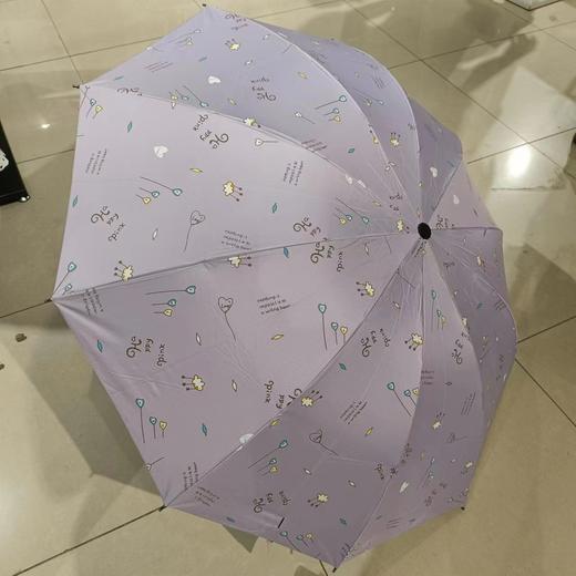 【G秒杀款】雨伞3151欧开 商品图0