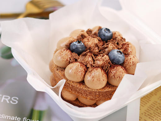 巧克力便当蛋糕-国产动物奶油 商品图0