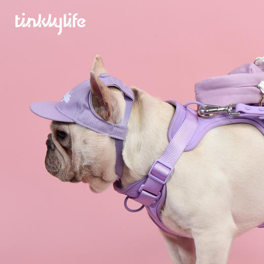 Tinklylife RAINBOW彩虹系列 宠物棒球帽 商品图9