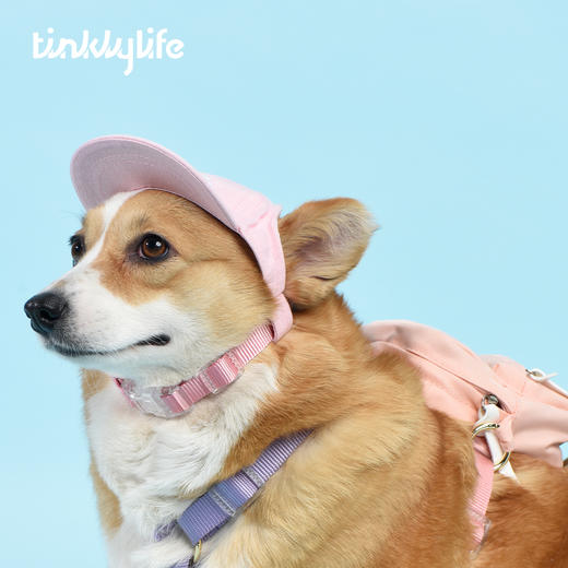 Tinklylife RAINBOW彩虹系列 宠物棒球帽 商品图5