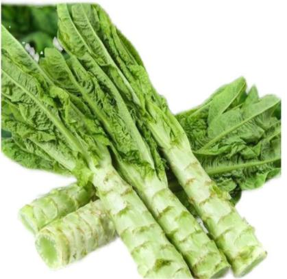 青莴笋 约500g/颗 【BC】【XZ】 商品图0