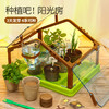 新年礼物CALLPLAY科答鸭植物吧阳光种植房花房儿童种植小盆栽科学实验生长观察窗玩具 灌溉系统三款种子四季可种、发芽率高、儿童礼物六一儿童节儿童礼物圣诞礼物生日礼物 商品缩略图0
