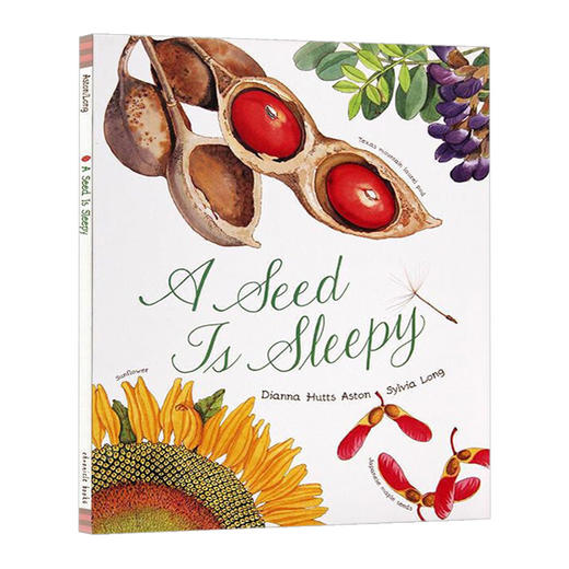 沉睡的种子 英文原版 Seed Is Sleepy 种子 如此酣睡 美丽生命成长系列 儿童英语科普百科读物 英文版进口原版课外阅读书籍 商品图0