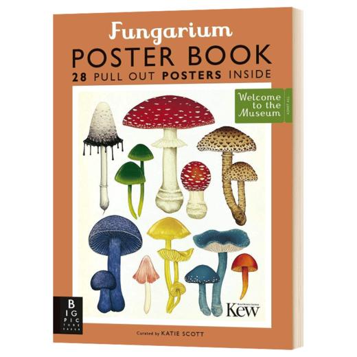 欢迎来到博物馆系列之菌物海报书 英文原版 Fungarium Post Book 少儿植物科普读物 英文版 进口英语书籍 商品图1