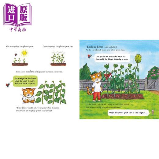 【中商原版】Axel Scheffler 相信自然儿童绘本2册套装 Tilly Sam Plants Tree Sunflower 山姆 蒂莉 英文原版 园艺种植图画书 商品图4