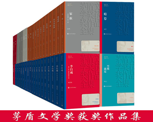 (仓发) 英雄时代 柳建伟 茅盾文学奖获奖作品全集 第六届茅奖 人民文学出版社/人民文学出版社/柳建伟/9787020139613 商品图1