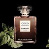 CHANEL/香奈儿 可可小姐馥郁女士浓香水50-100ML 20 商品缩略图1