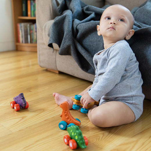 PT恐龙小车组 商品图3