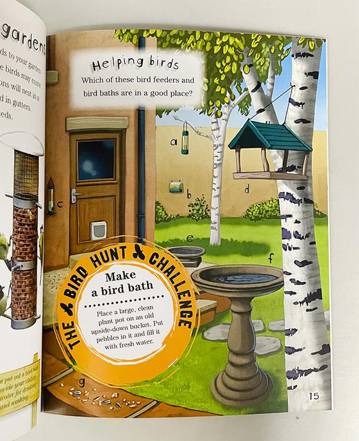 自然狩猎系列4册 英文原版 The Great Nature Hunt 4 Copy 小学自然教育科普绘本 英文版 进口英语书籍 商品图2