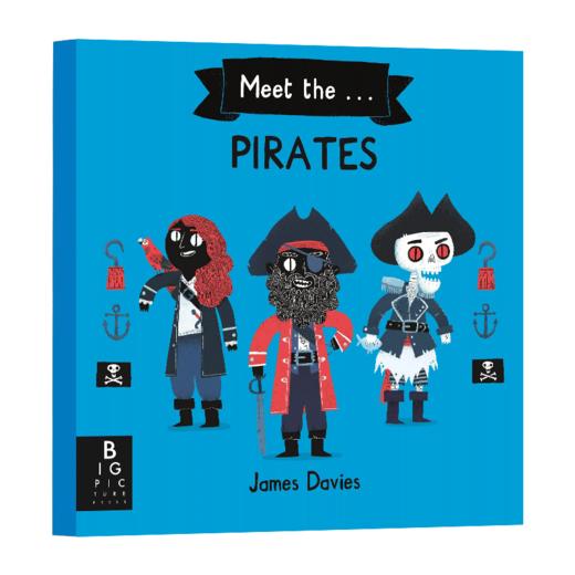 遇见海盗 英文原版 Meet the Pirates 英文版儿童英语科普绘本 詹姆斯戴维斯 James Davies 进口原版书籍 商品图1