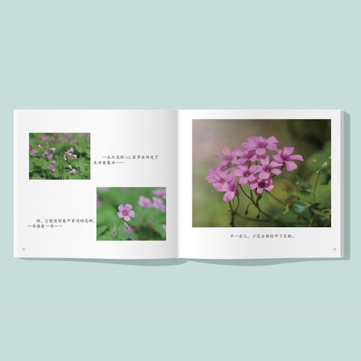 《中国故事·植物篇》（全10册） 商品图2