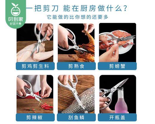 GRAREY多功能剪骨刀（1把） 商品图5