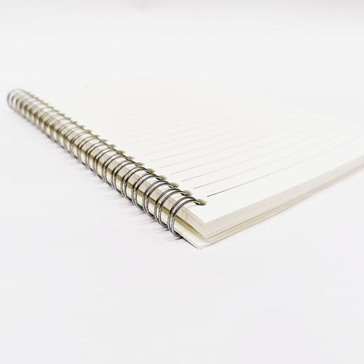 简约A5 PP面金属铁圈笔记横线本子高中学生课堂笔记办公会议记录日常随手记手账1本 商品图3
