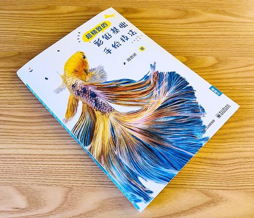 (仓发) 超精致的彩铅基础手绘技法/电子工业出版社/周思娇/9787121420146 商品图2