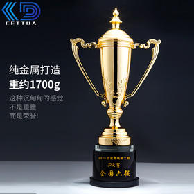 冠军奖杯定做创意镀金金属奖杯定做制作刻字跆拳道武术体育比赛奖