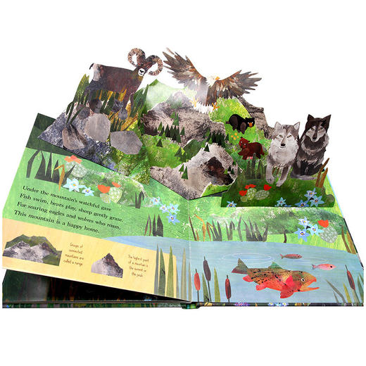在大山 英文原版 On the Mountain 自然动物主题认知 精装3D翻翻书 儿童英语启蒙科普百科图画书 英文版进口原版书籍 精装 商品图2