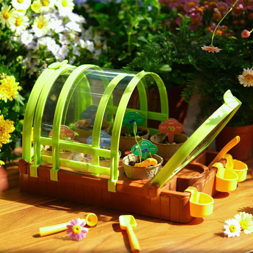 新年礼物CALLPLAY科答鸭植物吧阳光种植房花房儿童种植小盆栽科学实验生长观察窗玩具 灌溉系统三款种子四季可种、发芽率高、儿童礼物六一儿童节儿童礼物圣诞礼物生日礼物 商品图3