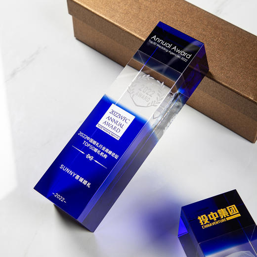 创意蓝色水晶奖杯定制定做冠军3D钻石内雕优秀员工比赛奖杯定制 商品图2