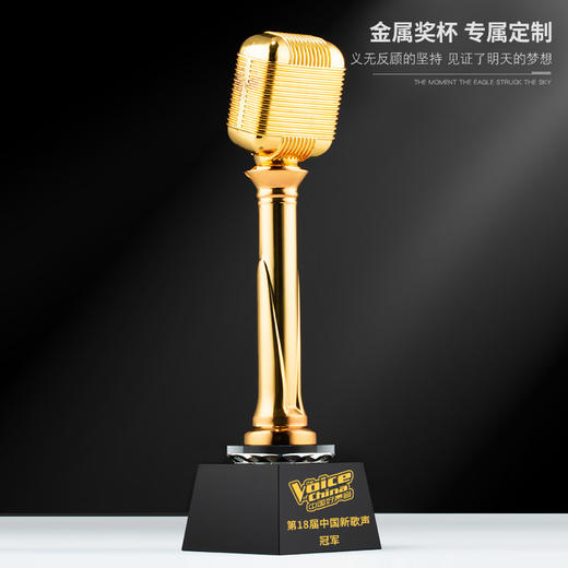 金话筒奖杯定制音乐奖杯麦克风唱歌演讲比赛主持人好声音金属定做 商品图3