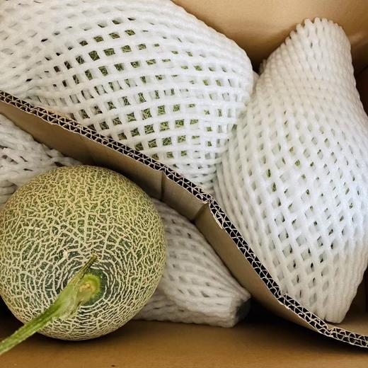 清甜不腻很夏天 新疆“西州蜜25号”头茬哈密瓜 商品图7