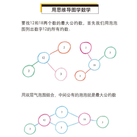 (仓发) 硅谷工程师爸爸的超强思维导图课：塑造儿童学习型大脑/中国妇女出版社/憨爸，小杨老师/9787512716889 商品图4