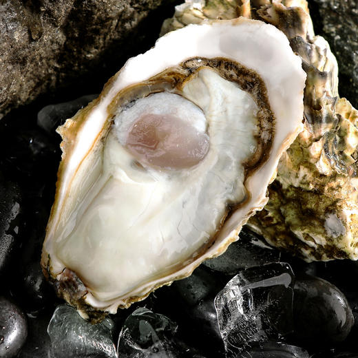 山东乳山生蚝 商品图4