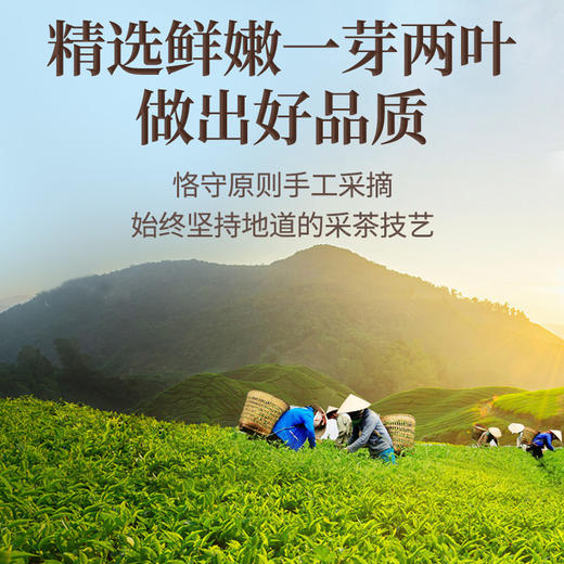 传奇会茶叶 英德红茶  正宗英红九号广东特产特级浓香型工夫红茶茶叶礼盒装250g 商品图6