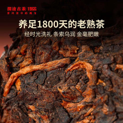 澜沧古茶2022年古木香5年陈普洱茶熟茶150g 商品图1